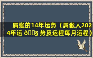 属猴的14年运势（属猴人2024年运 🐧 势及运程每月运程）